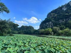 -星湖旅游景区七星岩