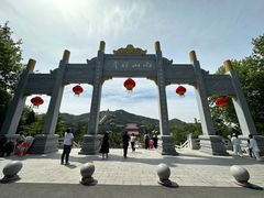 -龙口南山旅游景区