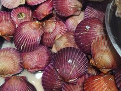 -旺角小渔村(二马路店)