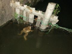 -西湖天地