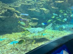 -海合安武汉极地海洋公园