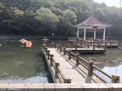 -吉林市朱雀山国家森林公园