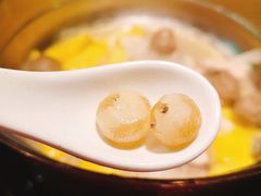 珍珠马蒂-椰夫人·养生椰子鸡(金沙洲永旺店)