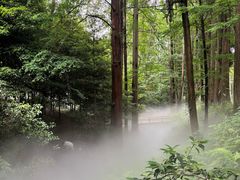 -东明山森林公园