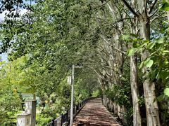 -党河风情线国家水利风景区