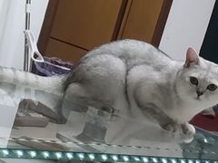 -宠颐生宠物医院·骨外科·犬猫全科诊疗中心(池州店)