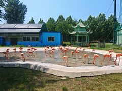 -秦皇岛野生动物园