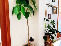 -AHAVA·Fang Baking Studio