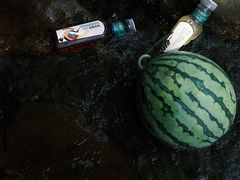 -北仑森林植物园