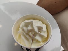 -JW德国冻酸奶Frozen Yogurt(龙湖成都滨江天街店)