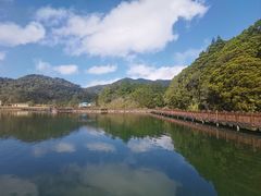 -海南热带雨林国家公园吊罗山景区