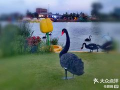 -荷兰花海
