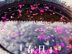 -慧因高丽寺