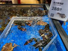 -盒马鲜生(双清路店)
