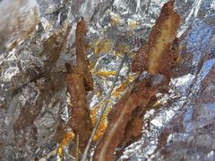 -周姑娘不等味·牛羊肉火锅·螃蟹罗氏虾·烤鱼烤串(高邮店)