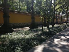 -阿育王寺