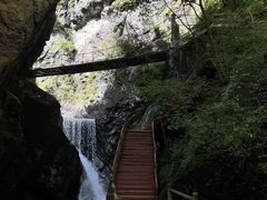 -牛背梁国家森林公园