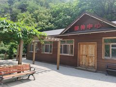 -大岭沟猕猴桃谷风景区