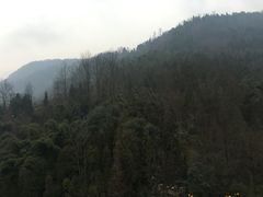 -花水湾第一村温泉大酒店