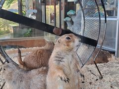 -珠海海泉湾神秘岛亲子乐园