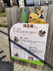 -造物庄园 萌宠纪(苏州湾歌林公园店)