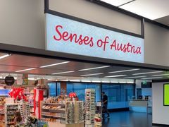 -维也纳国际机场