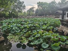 -无锡蠡湖国家湿地公园-蠡园
