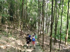 -凤栖山