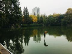 -包公祠