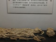 -水洞沟旅游区