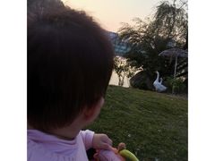 -厦门悦华酒店