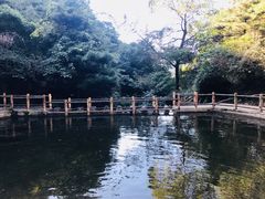 -王顺山国家森林公园