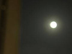 -蜀绣公园
