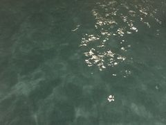 -随州碧桂园凤悦凤凰酒店