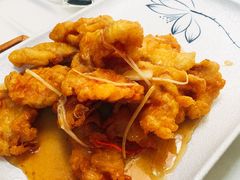 -食家鸽园