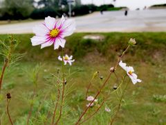 -汉长安城未央宫国家考古遗址公园