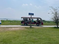 -七的湖·晚芳亭·阳澄湖农家菜·大闸蟹(莲花岛店)