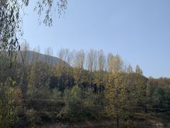 -伏羲山旅游区