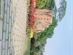 -中国科学院华南植物园