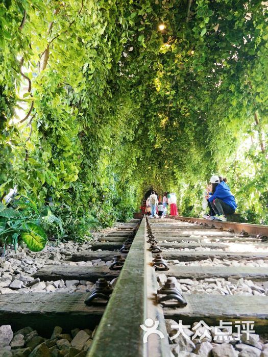 光谷爱情隧道-图片-武汉周边游-大众点评网