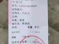 -关爱动物医院·心脏·中兽医·异宠(金牛路分院)