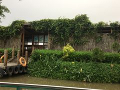 -大湾区中央湿地公园