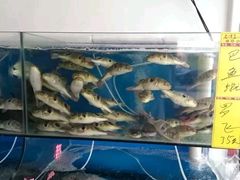 -沙头涌渔栏海鲜餐厅