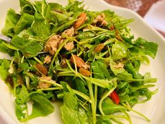 -素心小筑(后沙裕镇店)