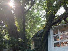 -VVG Hideaway 好样秘境