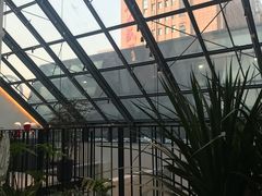 -大树餐厅(红旗街万达店)