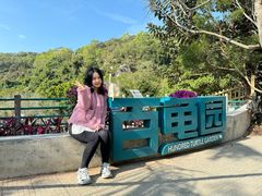 -广东惠东海龟国家级自然保护区