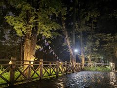 -桤木河湿地公园