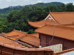 -深圳仙湖植物园