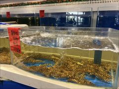 -北塘海鲜·天津菜(大光明桥旗舰店)